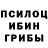 Псилоцибиновые грибы Magic Shrooms minta mentos