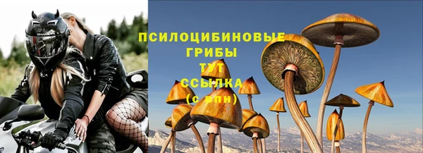 тгк Алзамай