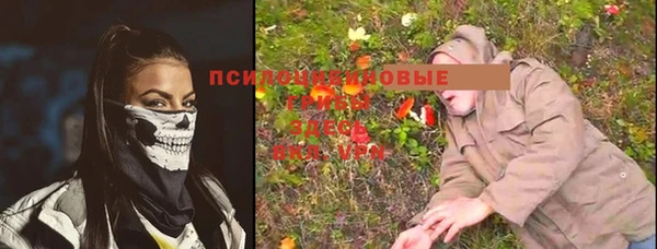 тгк Алзамай