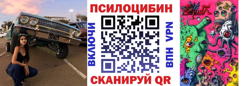 shop телеграм  Арсеньев  Галлюциногенные грибы мицелий 